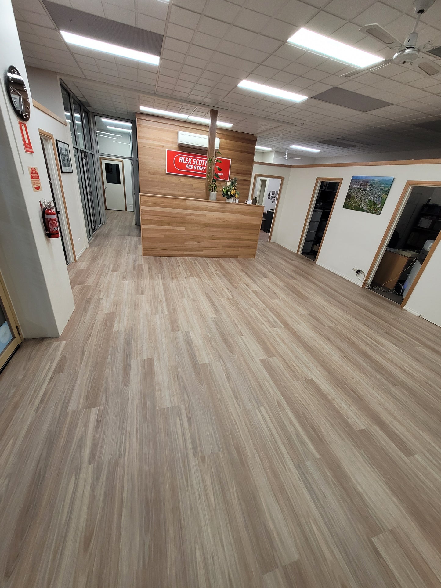 Royal Gum SFG-2301
