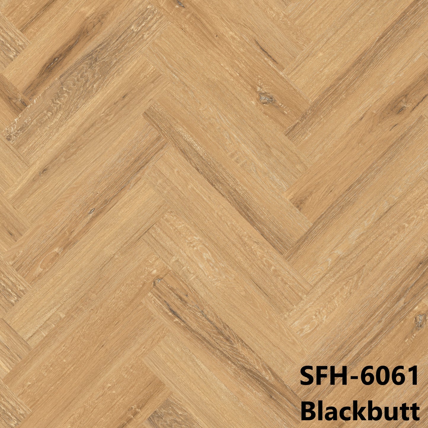Blackbutt SFH-6061