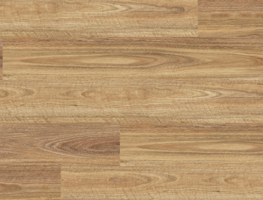 NSW Spotted Gum SFL-4504