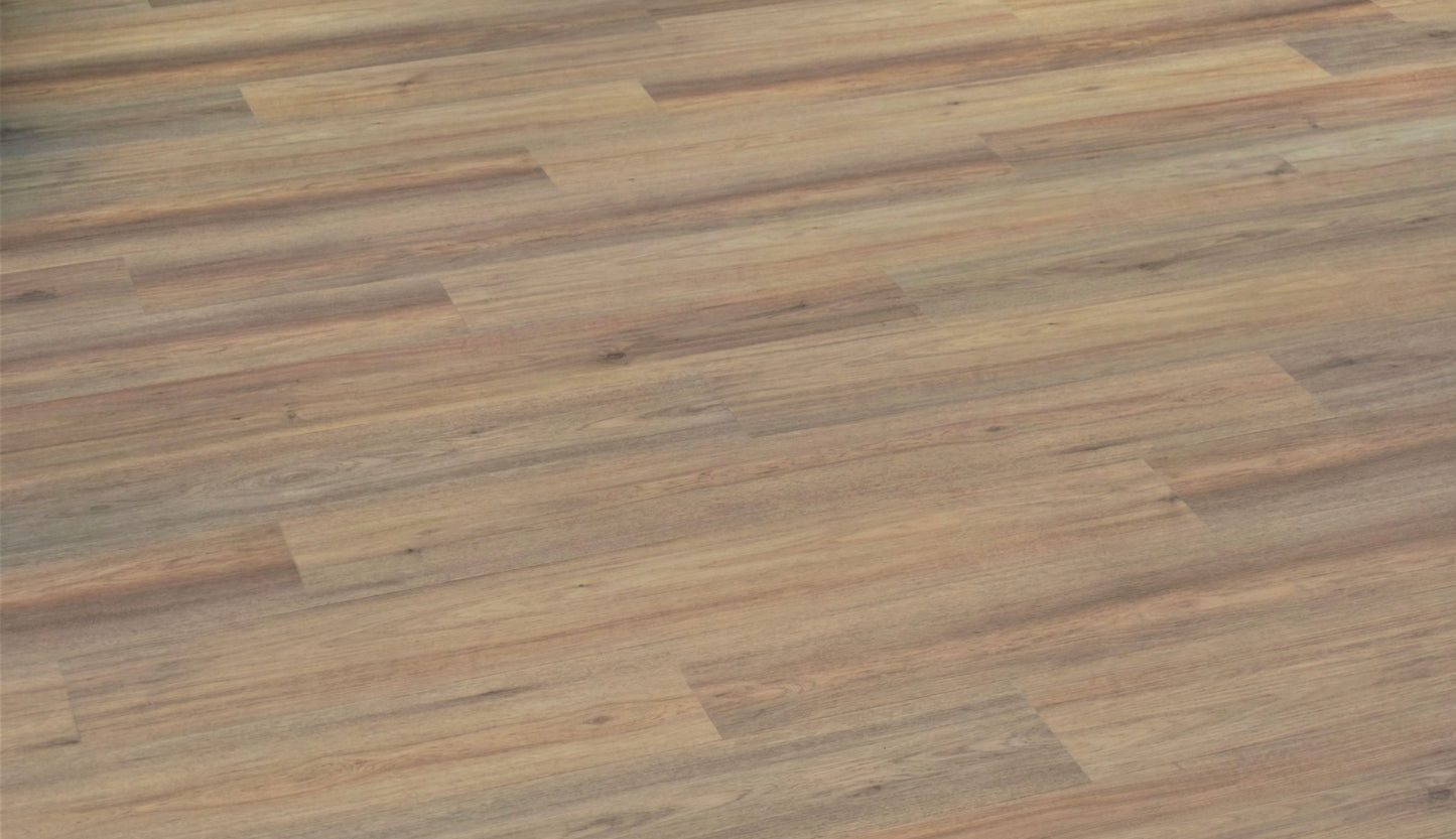 Spotted Gum SFG-3102
