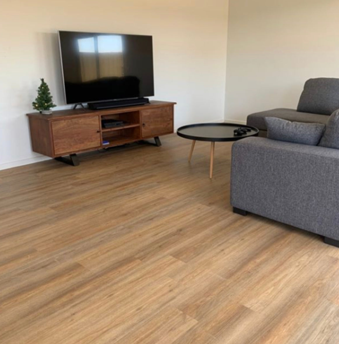 Spotted Gum SFG-3102