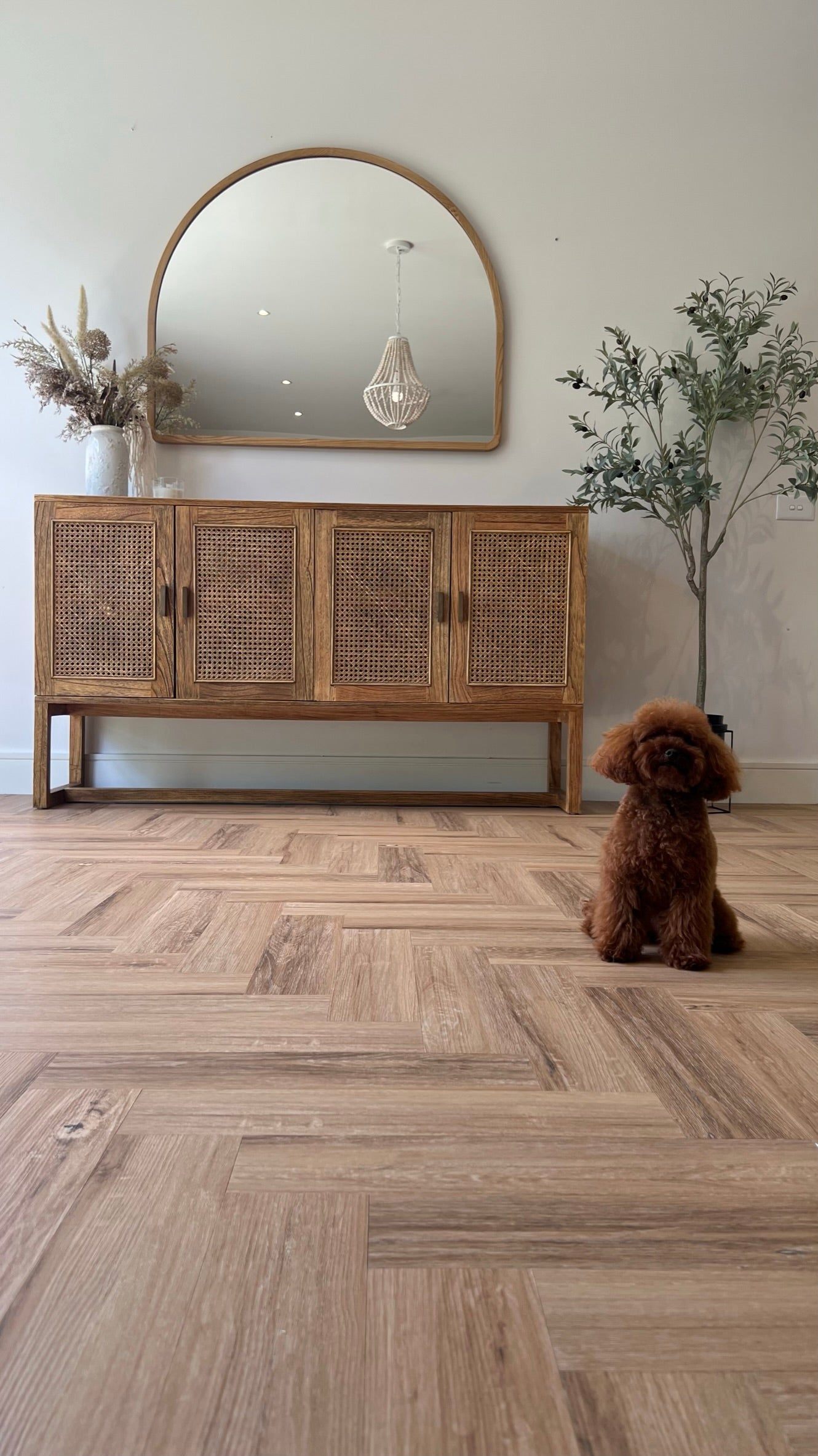 Blackbutt SFH-6061