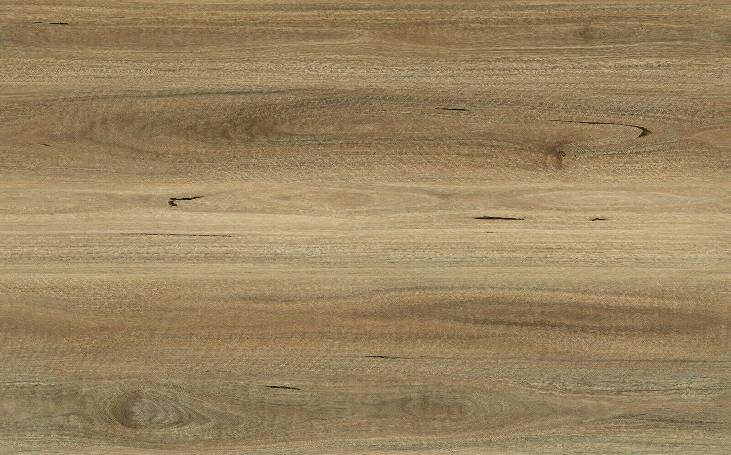NSW Spotted Gum AQ-13