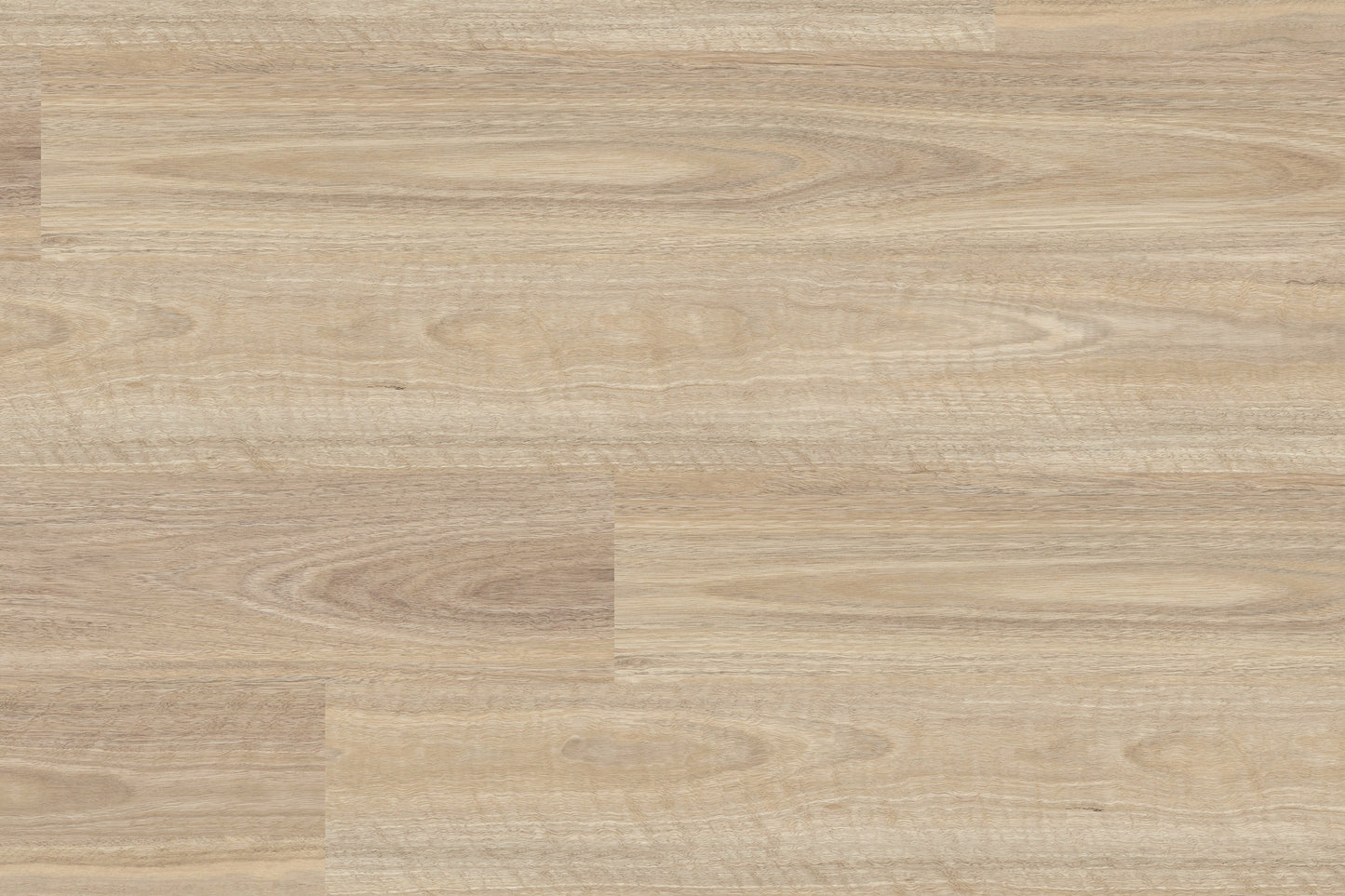 Royal Gum SFG-2301