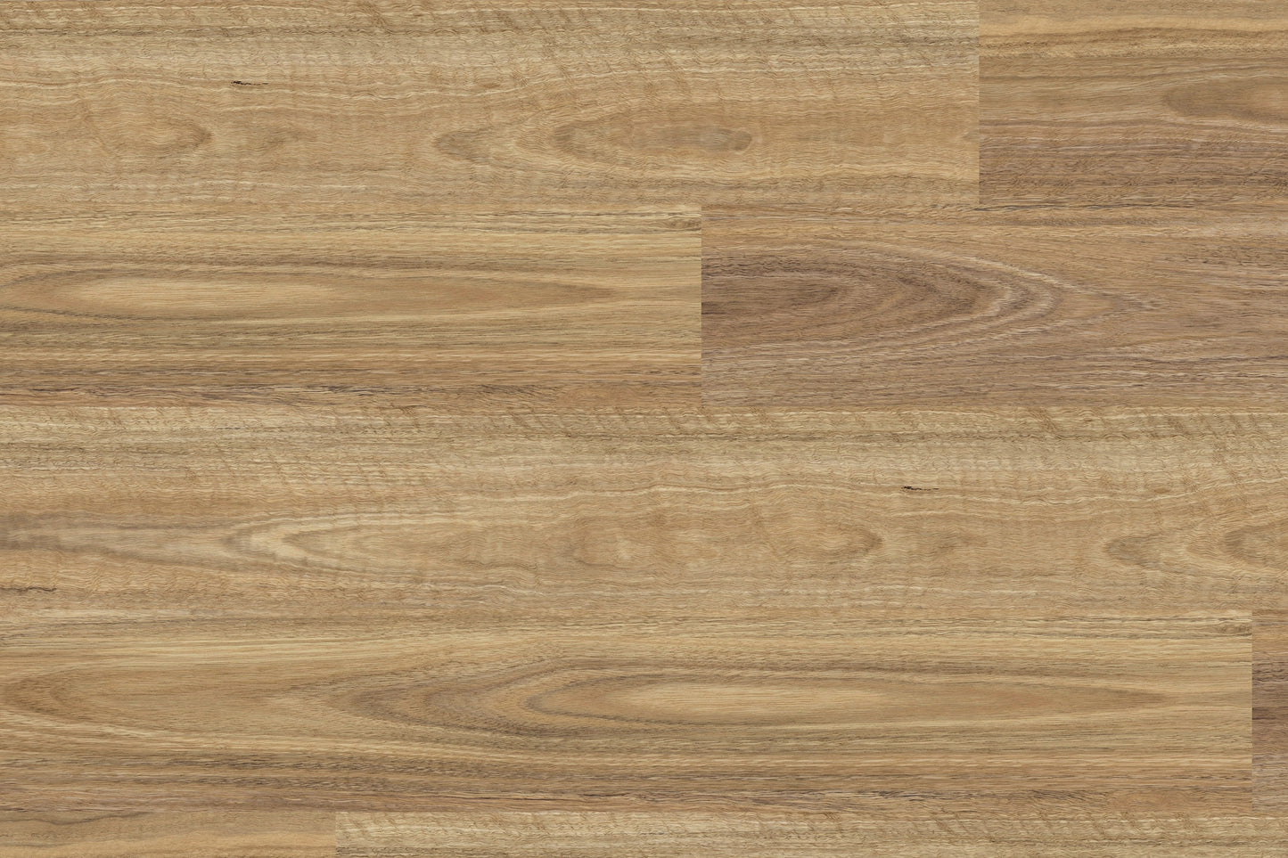 NSW Spotted Gum SFG-2302