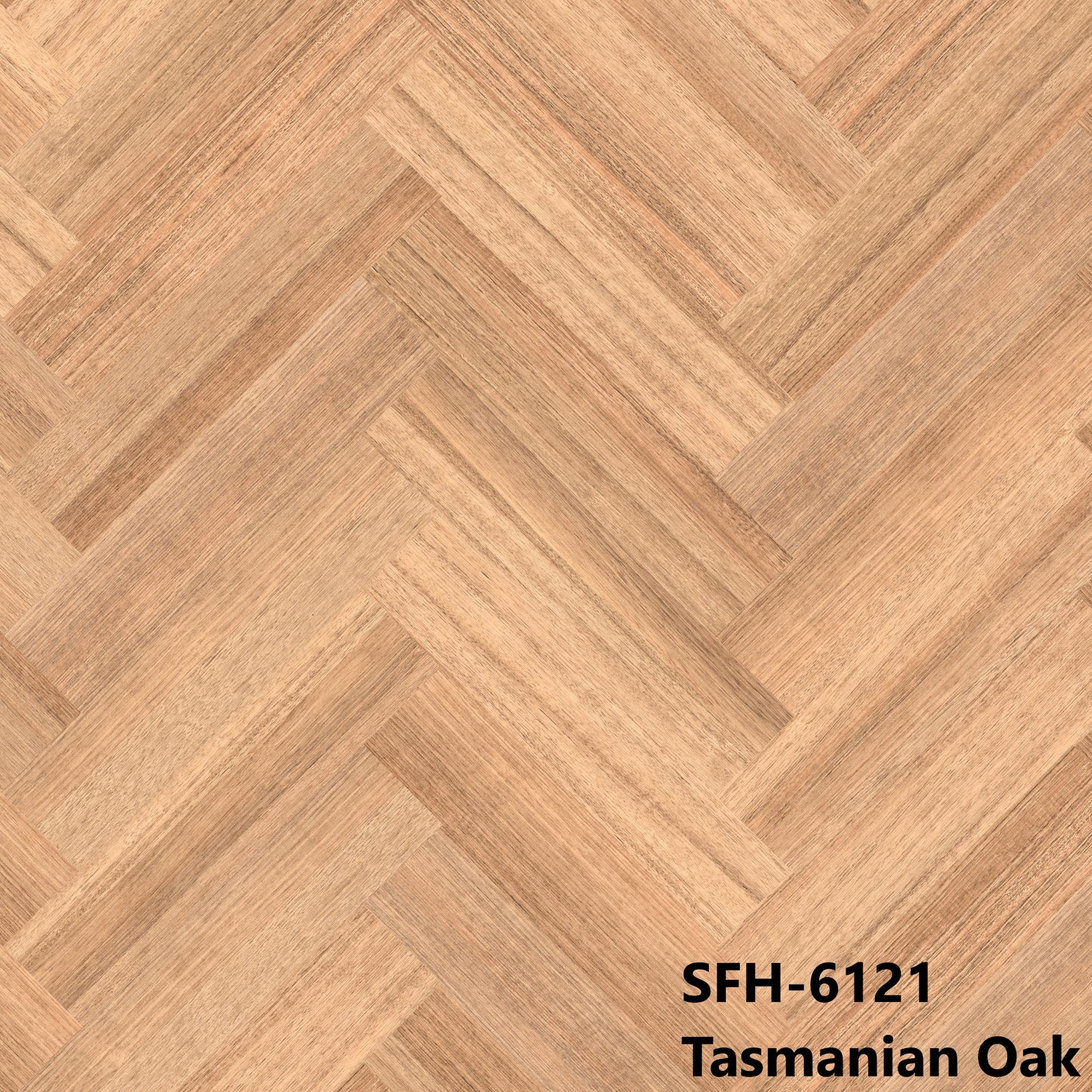 Tasmanian Oak SFH-6121