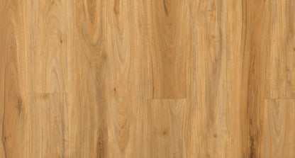 Spotted Gum SF-6870