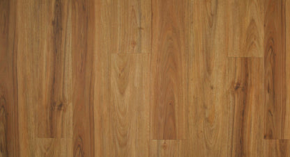 NSW Spotted Gum SF-6872