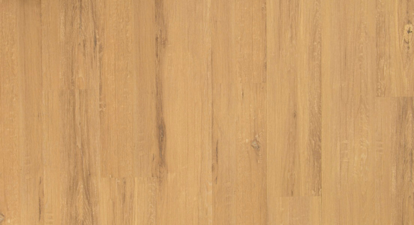 Blackbutt SF-6061