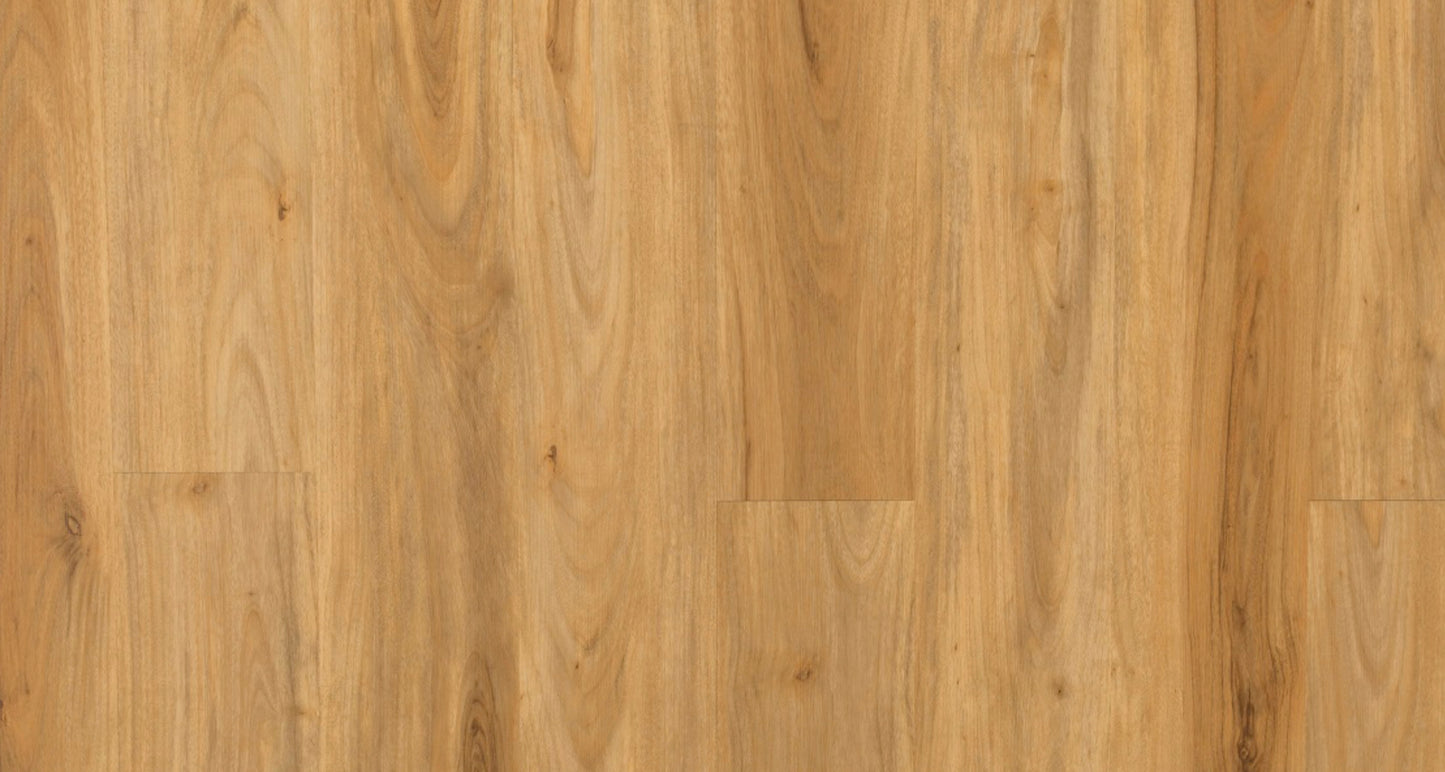 Spotted Gum AQ-12 (last 7.4sqm)