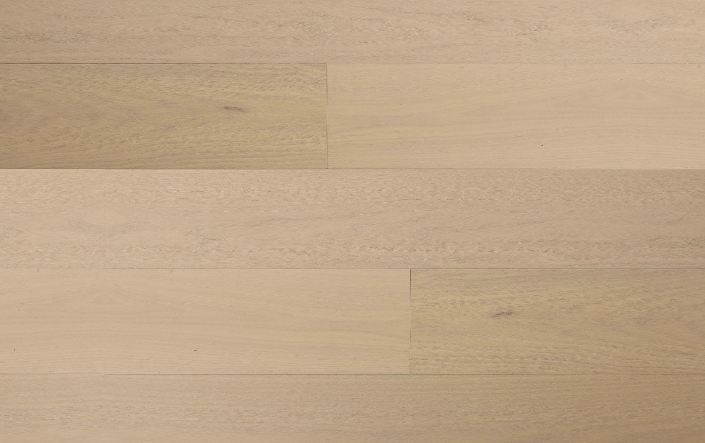 AMARA American Oak - Nantucket Shore